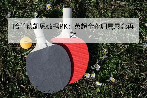 ha-lan-de-kai-en-shu-ju-ying-chao-jin-xue-gui-shu-xuan-nian-zai-qi-2-189.jpg